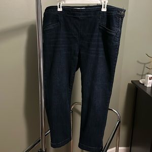 Pilcro and the Letterpress Anthropologie High Rise Denim Legging Side Zip